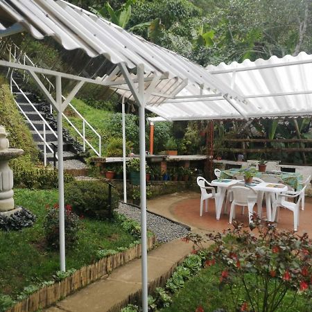Bosque De Niebla Birding & Nature 卡利 外观 照片