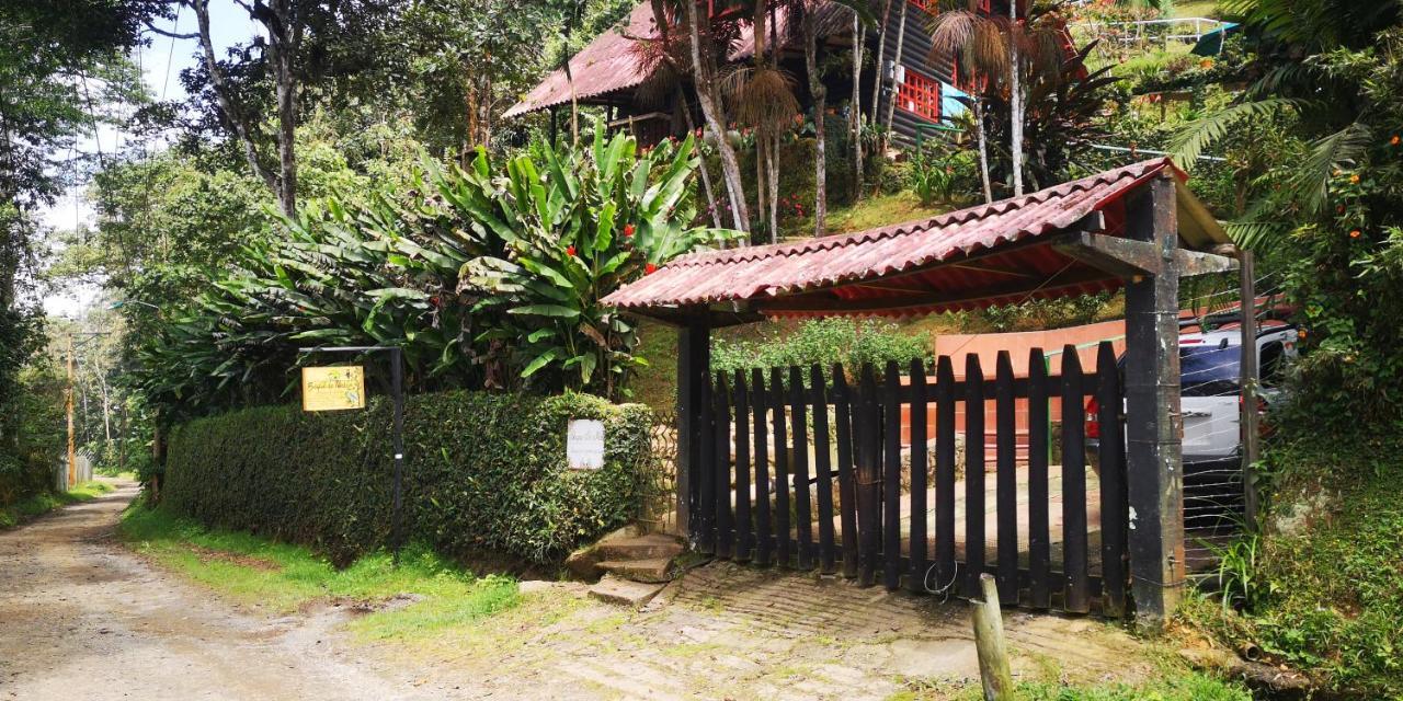 Bosque De Niebla Birding & Nature 卡利 外观 照片