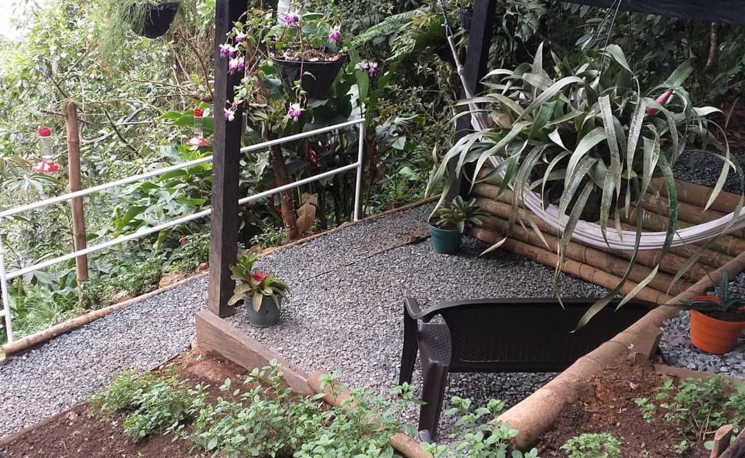 Bosque De Niebla Birding & Nature 卡利 外观 照片