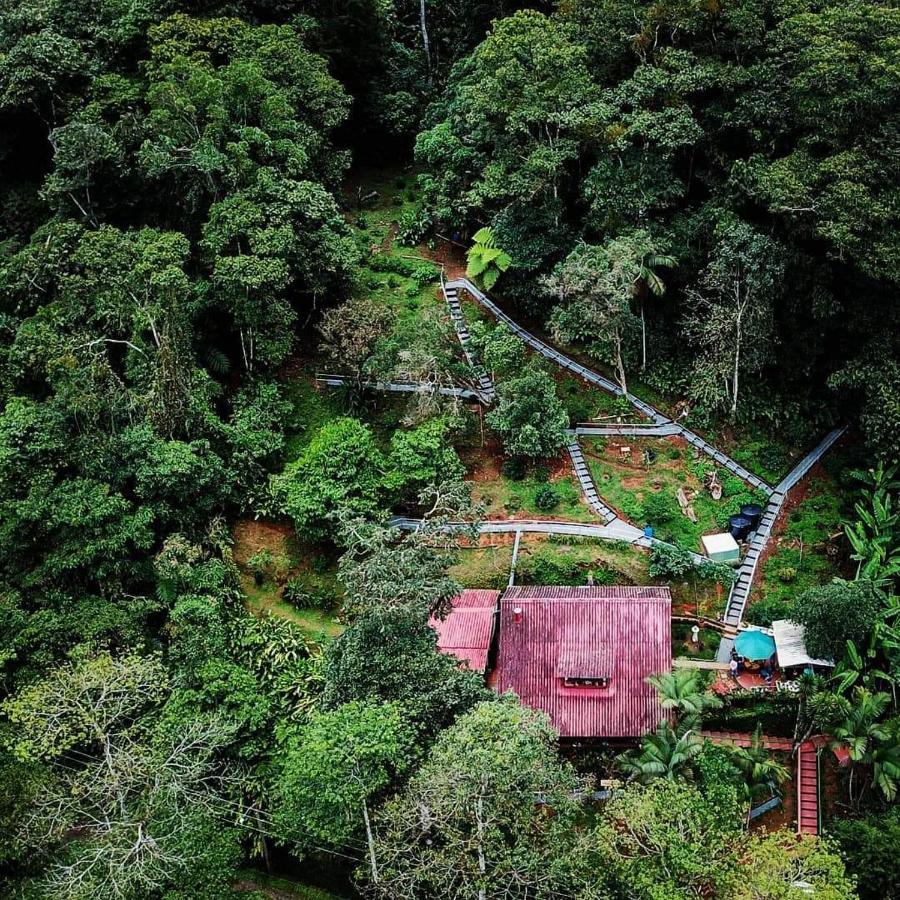 Bosque De Niebla Birding & Nature 卡利 外观 照片