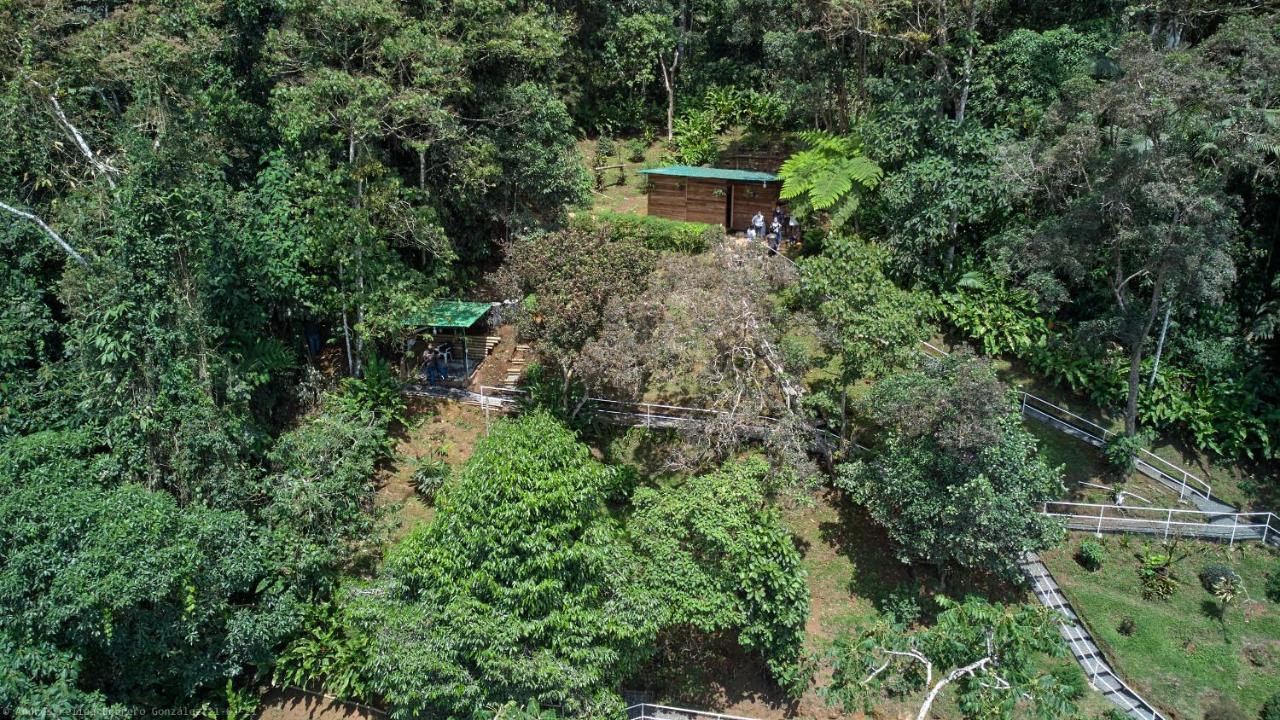 Bosque De Niebla Birding & Nature 卡利 外观 照片