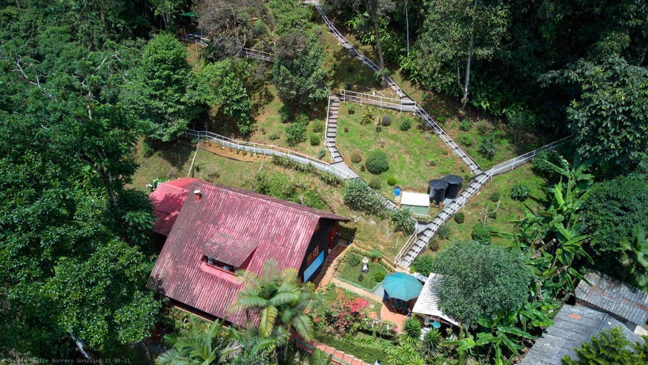 Bosque De Niebla Birding & Nature 卡利 外观 照片