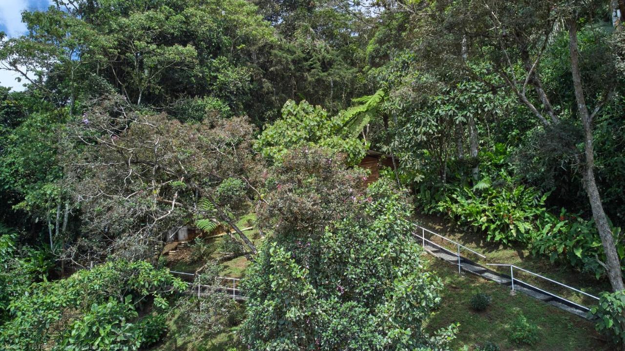 Bosque De Niebla Birding & Nature 卡利 外观 照片